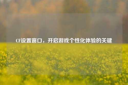 CF设置窗口，开启游戏个性化体验的关键