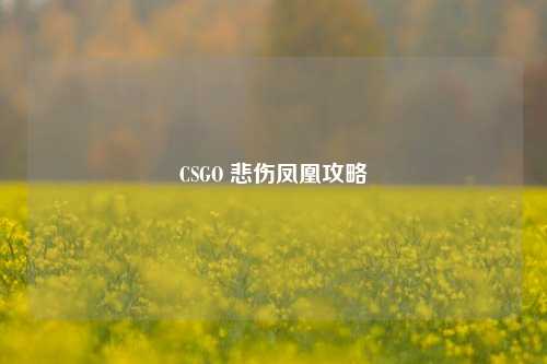 CSGO 悲伤凤凰攻略