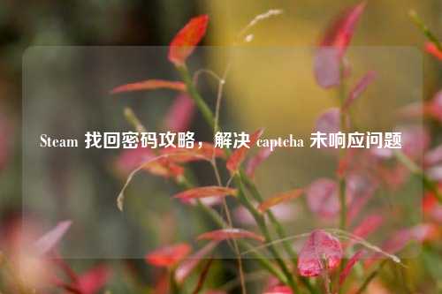Steam 找回密码攻略，解决 captcha 未响应问题