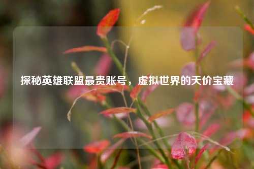 探秘英雄联盟最贵账号，虚拟世界的天价宝藏