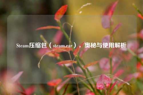 Steam压缩包（steam.rar），奥秘与使用解析