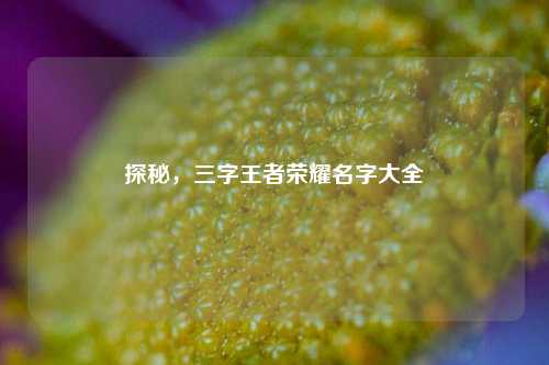 探秘，三字王者荣耀名字大全