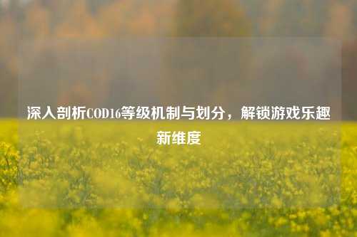 深入剖析COD16等级机制与划分，解锁游戏乐趣新维度