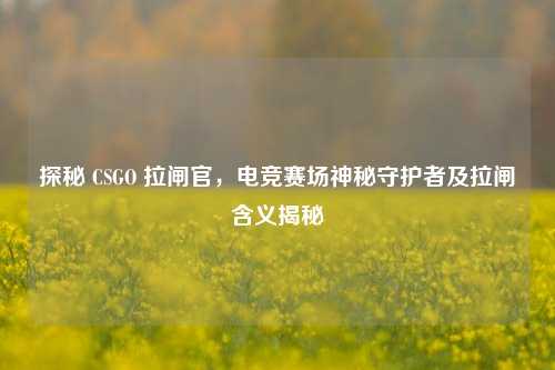 探秘 CSGO 拉闸官，电竞赛场神秘守护者及拉闸含义揭秘