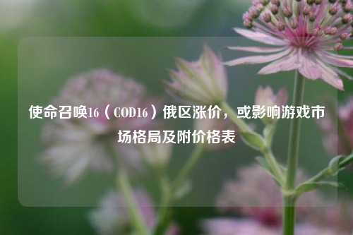 使命召唤16（COD16）俄区涨价，或影响游戏市场格局及附价格表