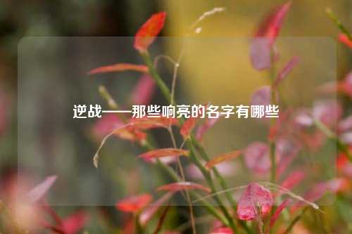 逆战——那些响亮的名字有哪些