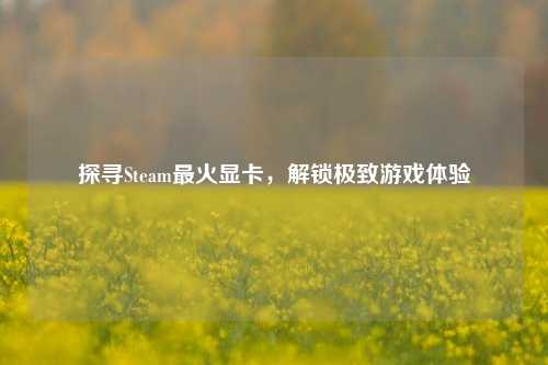 探寻Steam最火显卡，解锁极致游戏体验