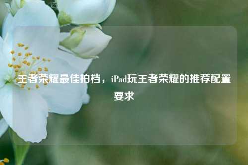王者荣耀最佳拍档，iPad玩王者荣耀的推荐配置要求
