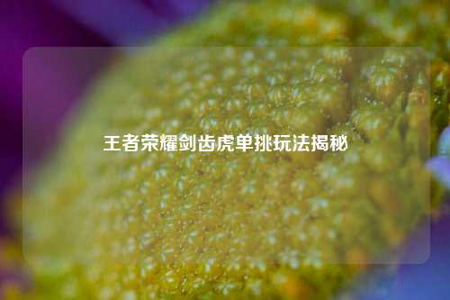 王者荣耀剑齿虎单挑玩法揭秘