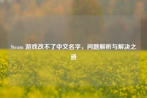 Steam 游戏改不了中文名字，问题解析与解决之道