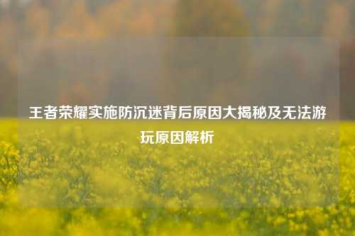 王者荣耀实施防沉迷背后原因大揭秘及无法游玩原因解析