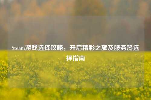 Steam游戏选择攻略，开启精彩之旅及服务器选择指南