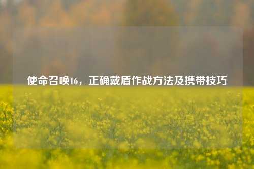 使命召唤16，正确戴盾作战方法及携带技巧