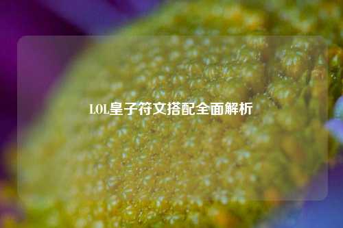 LOL皇子符文搭配全面解析