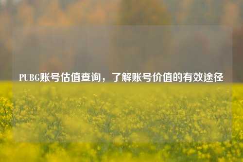 PUBG账号估值查询，了解账号价值的有效途径