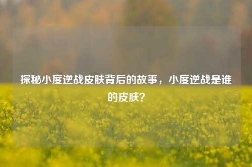 探秘小度逆战皮肤背后的故事，小度逆战是谁的皮肤？