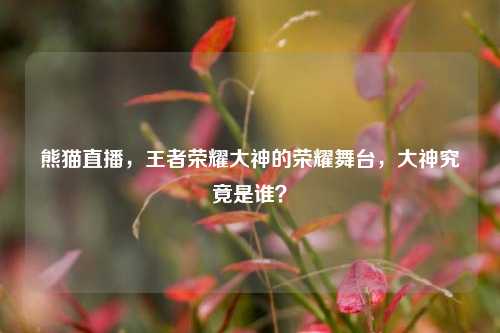 熊猫直播，王者荣耀大神的荣耀舞台，大神究竟是谁？