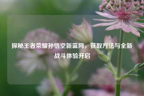 探秘王者荣耀孙悟空新蓝网，获取方法与全新战斗体验开启