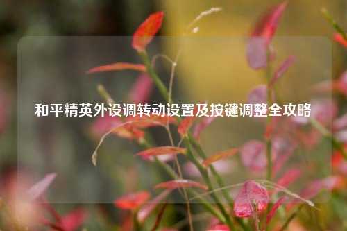 和平精英外设调转动设置及按键调整全攻略