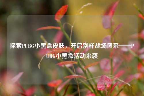 探索PUBG小黑盒皮肤，开启别样战场风采——PUBG小黑盒活动来袭