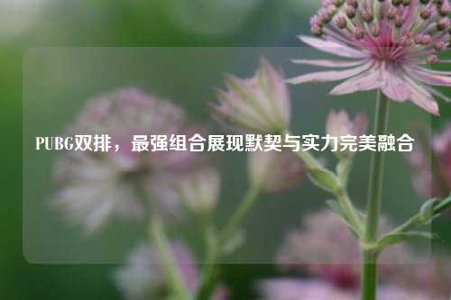 PUBG双排,最强组合展现默契与实力完美融合