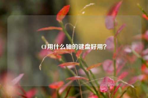 CF用什么轴的键盘好用?