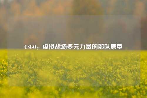 CSGO,虚拟战场多元力量的部队原型