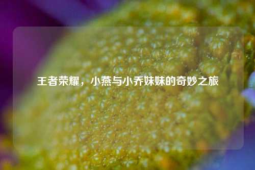 王者荣耀,小燕与小乔妹妹的奇妙之旅