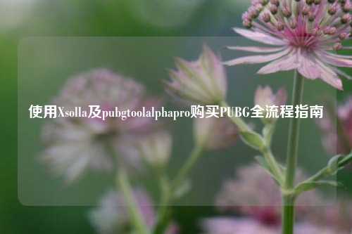使用Xsolla及pubgtoolalphapro购买PUBG全流程指南