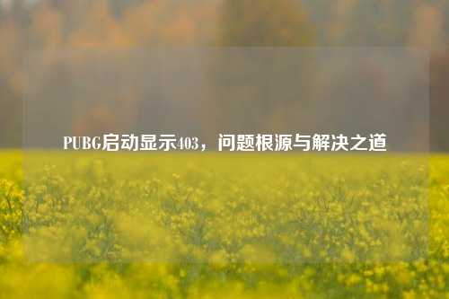 PUBG启动显示403，问题根源与解决之道