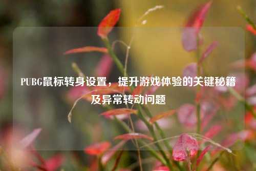 PUBG鼠标转身设置,提升游戏体验的关键秘籍及异常转动问题