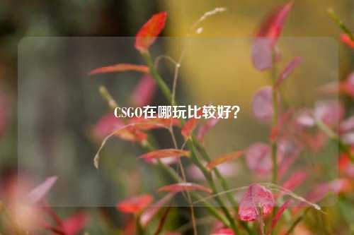 CSGO在哪玩比较好？
