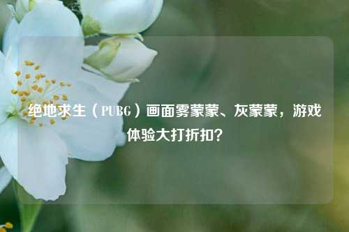 绝地求生(PUBG)画面雾蒙蒙、灰蒙蒙,游戏体验大打折扣?