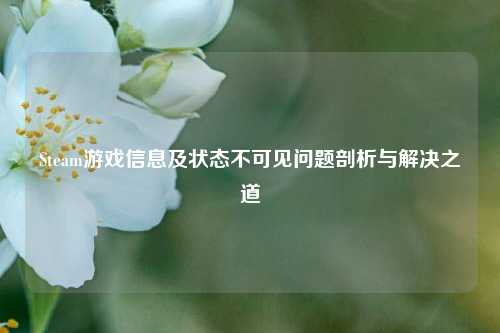 Steam游戏信息及状态不可见问题剖析与解决之道