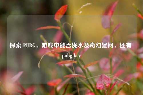 探索 PUBG，游戏中能否浇水及奇幻疑问，还有 pubg key