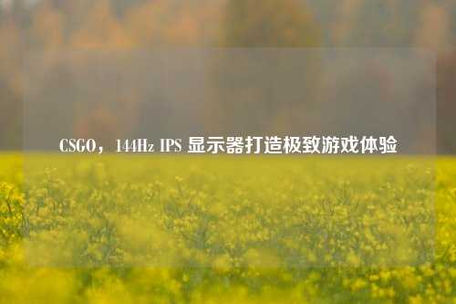 CSGO,144Hz IPS 显示器打造极致游戏体验
