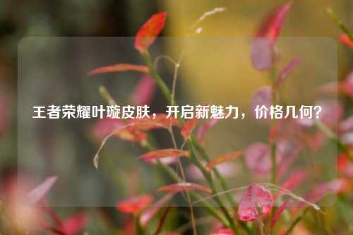 王者荣耀叶璇皮肤,开启新魅力,价格几何?