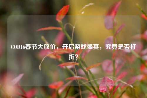 COD16春节大放价,开启游戏盛宴,究竟是否打折?