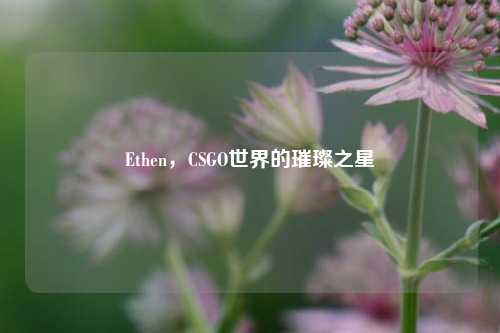 Ethen,CSGO世界的璀璨之星