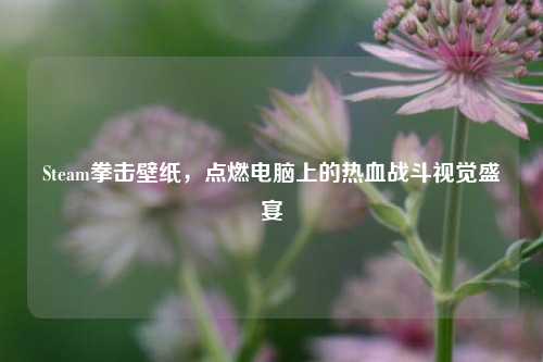 Steam拳击壁纸，点燃电脑上的热血战斗视觉盛宴