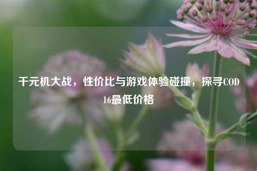 千元机大战，性价比与游戏体验碰撞，探寻COD16最低价格
