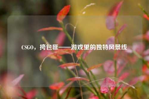 CSGO,挎包匪——游戏里的独特风景线