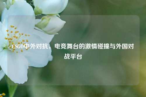 CSGO中外对抗，电竞舞台的激情碰撞与外国对战平台