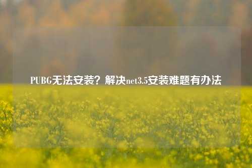 PUBG无法安装？解决net3.5安装难题有办法