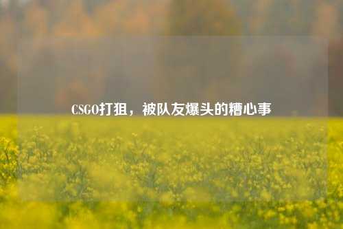 CSGO打狙，被队友爆头的糟心事