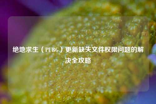 绝地求生（PUBG）更新缺失文件权限问题的解决全攻略