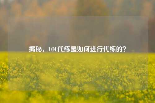 揭秘，LOL代练是如何进行代练的？