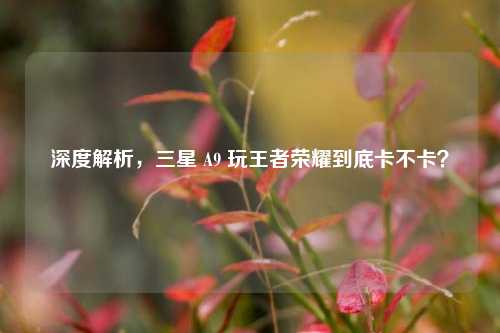 深度解析，三星 A9 玩王者荣耀到底卡不卡？