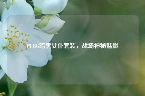 PUBG暗黑女仆套装,战场神秘魅影