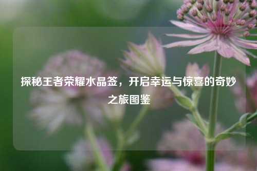 探秘王者荣耀水晶签，开启幸运与惊喜的奇妙之旅图鉴